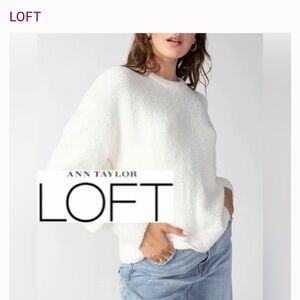 LOFT Women's Cream Crew Neck Sweater